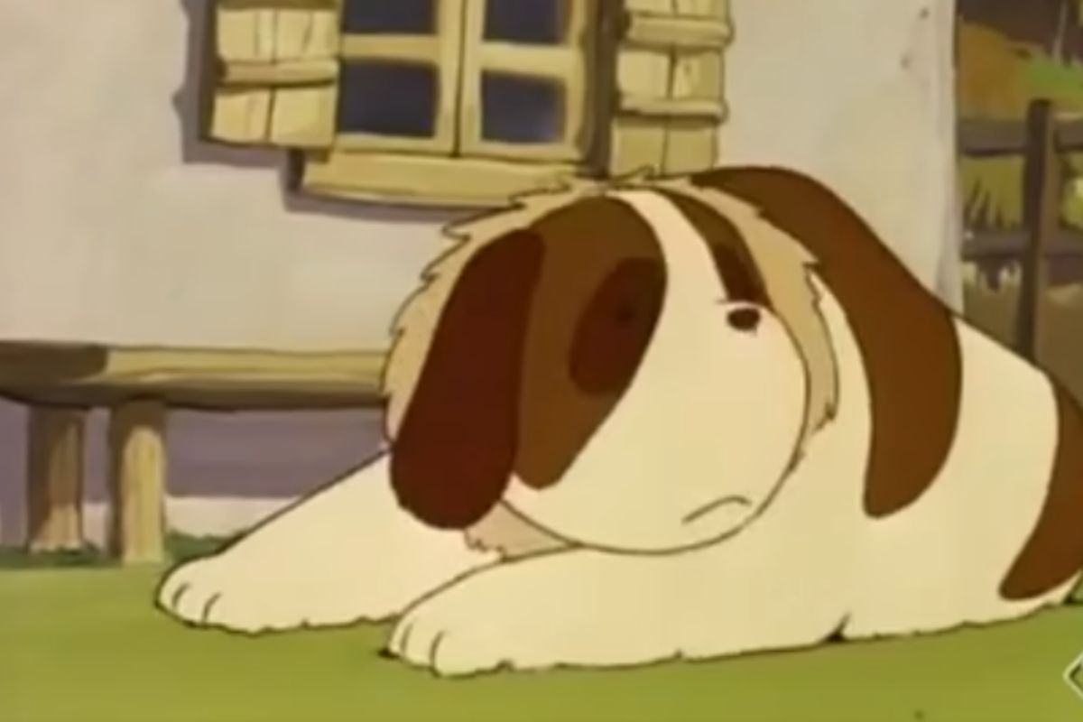 Cane di Heidi