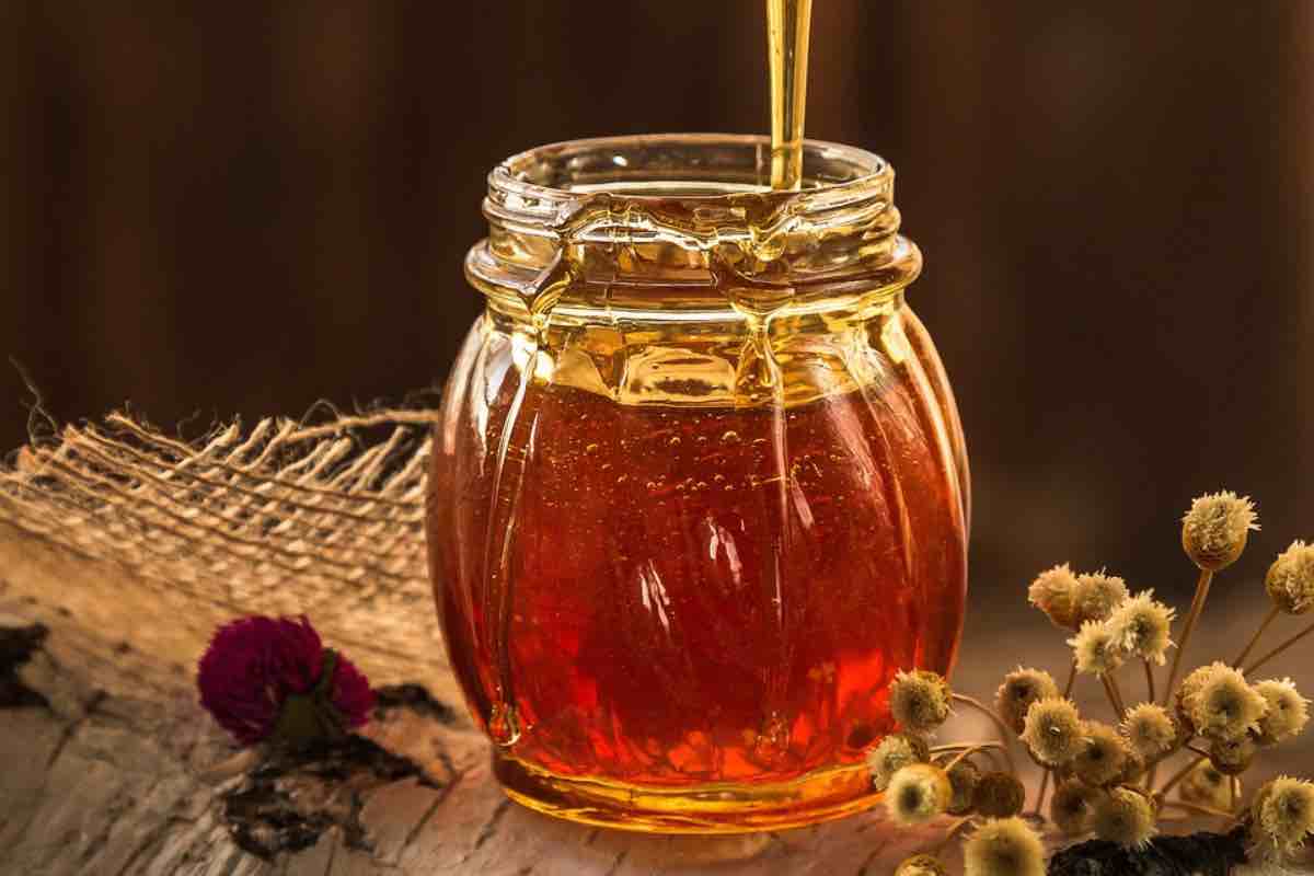 Miele pregiato (Pixabay Daria-Yakovleva - amoreaquattrozampe.live)