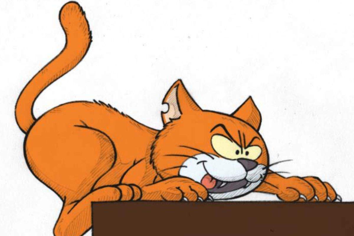 Birba, il gatto rosso di Gargamella