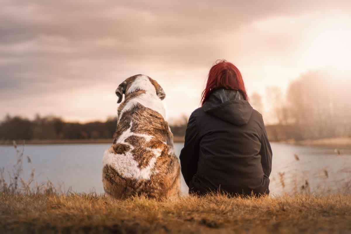 Cane mostra il sedere accanto alla sua umana
