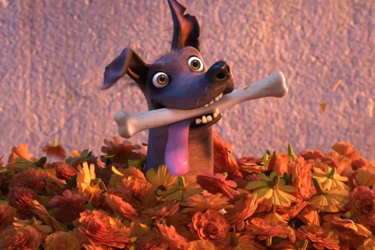 razza cane disney coco