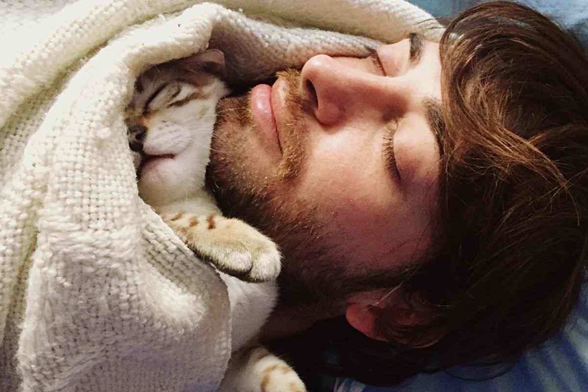 gatto dorme con padrone