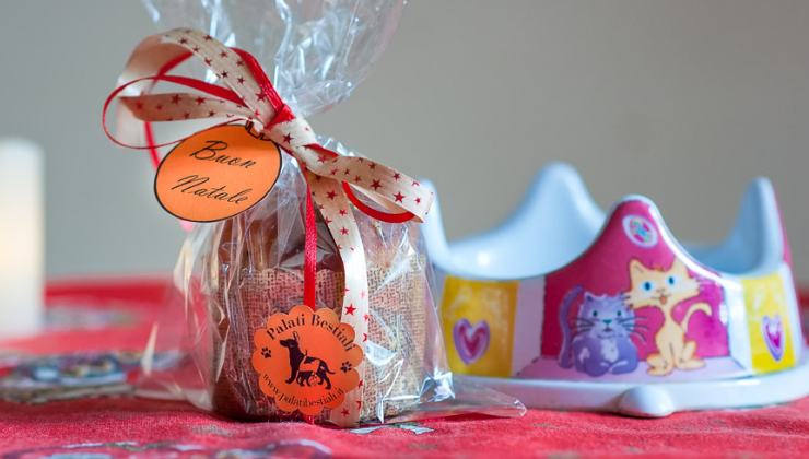 panettone per gatti