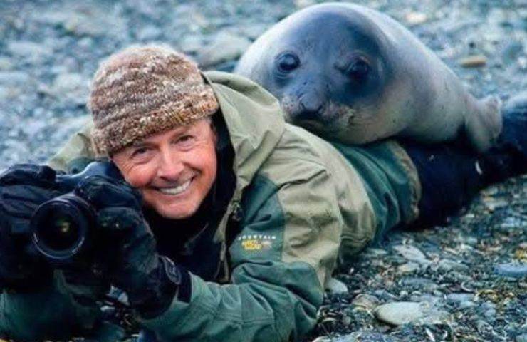 Foca e fotografo a terra