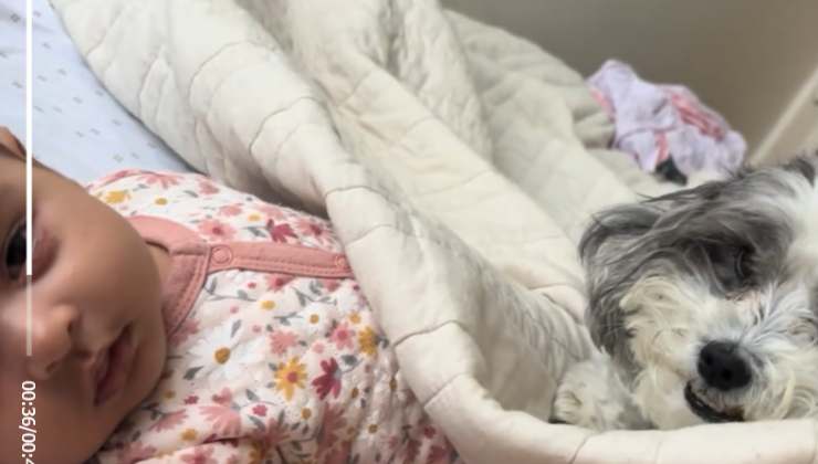 bimba e mimì