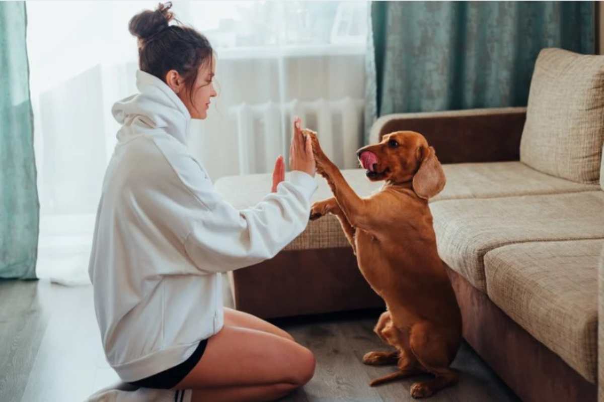 Per quanto tempo dovremmo stare con il nostro cane? La risposta non è scontata