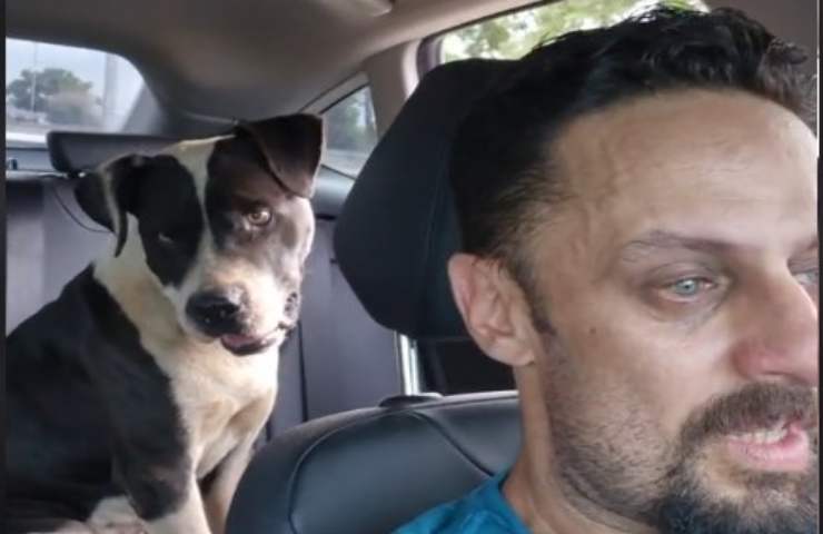 eros e raphael (1)