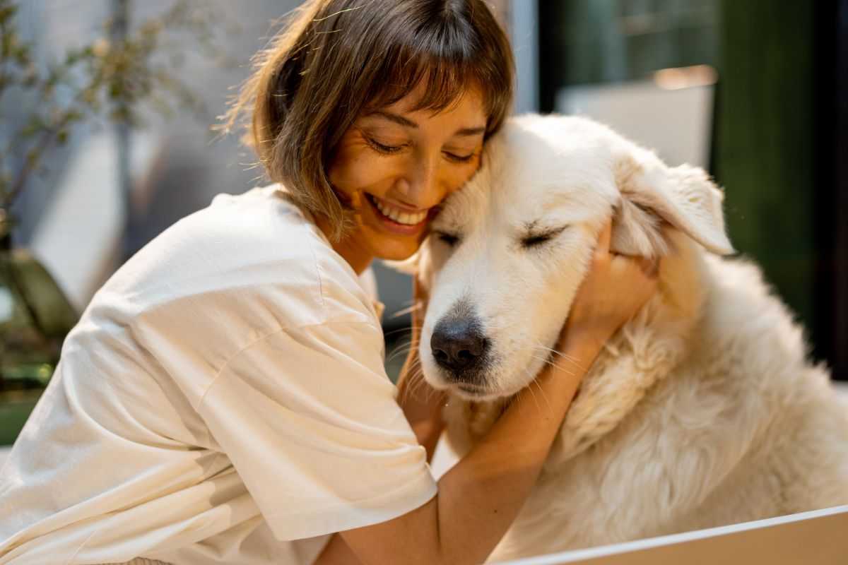come fare profumo cani