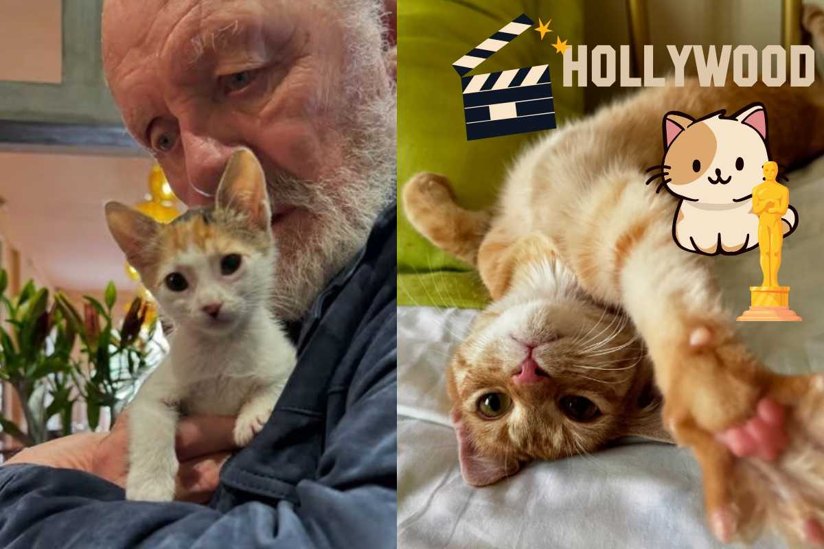 Anthony Hopkins e gattino