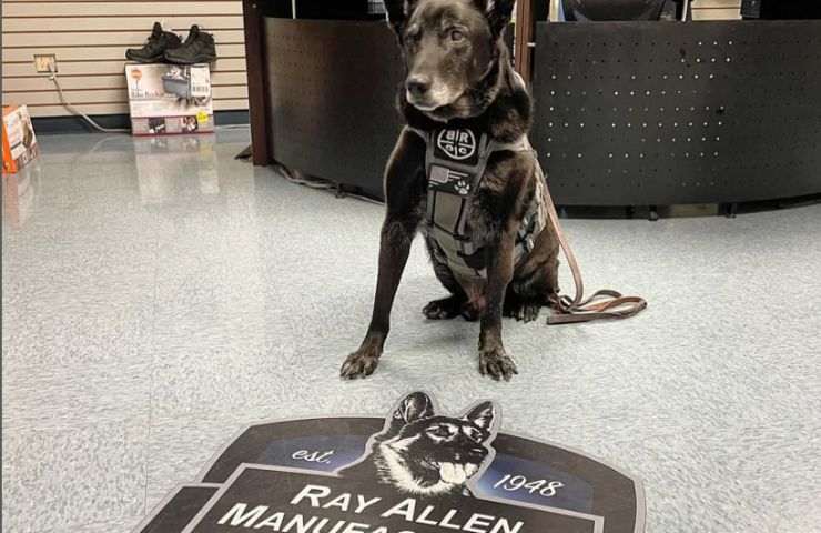 Cane al dipartimento di polizia