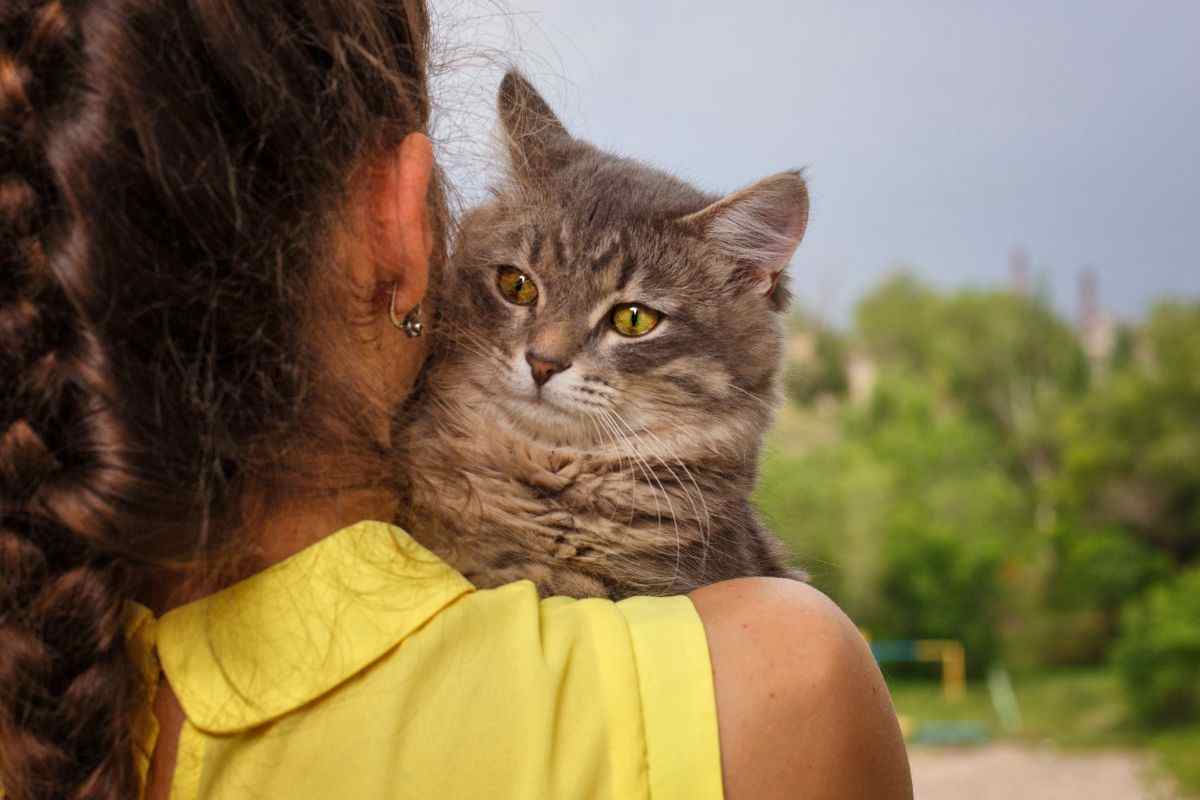 Gatto in braccio alla padrona