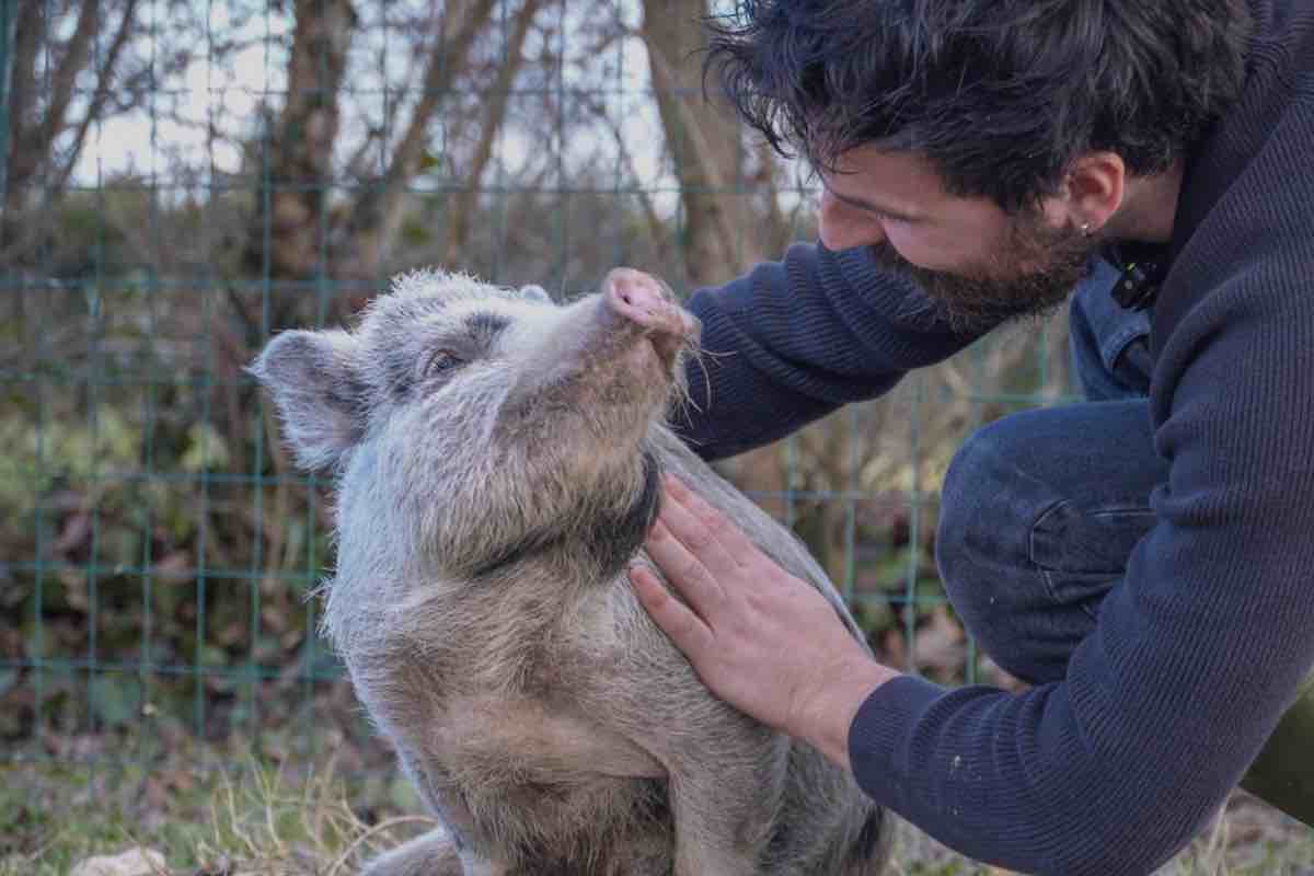 Volontario opera nell’oasi in onore del suo maialino Pumba