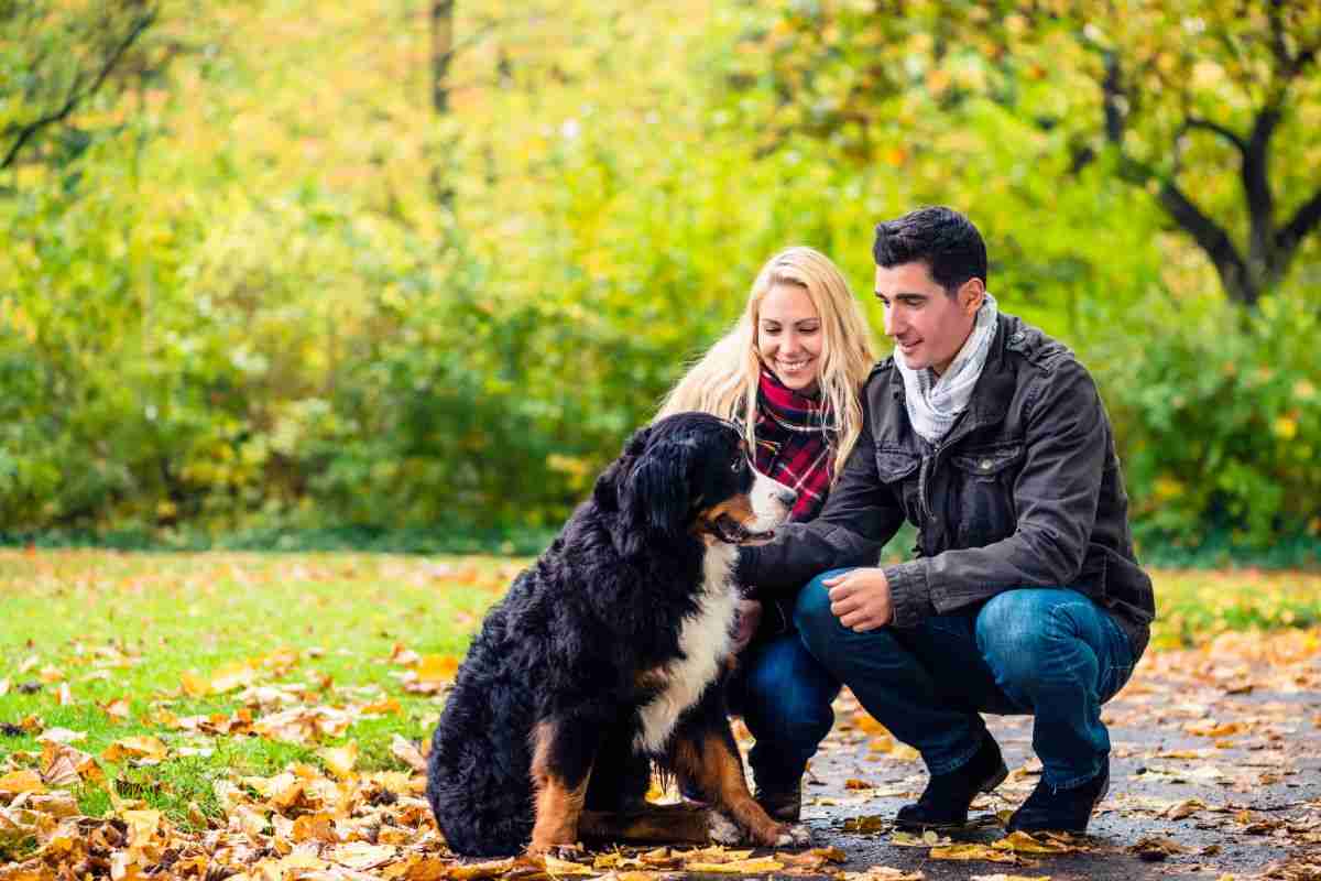 passeggiare con il cane fa bene