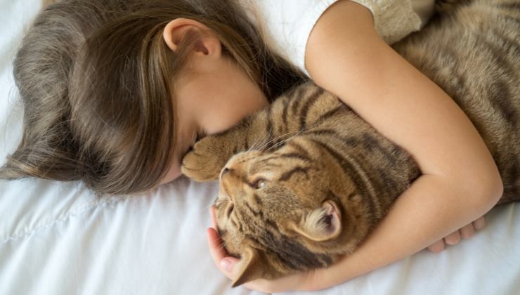 bimba dorme con gatto