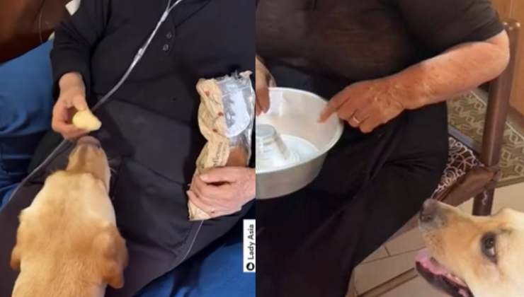 nonna Concetta aiutata da Asia