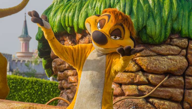 Timon il suricato