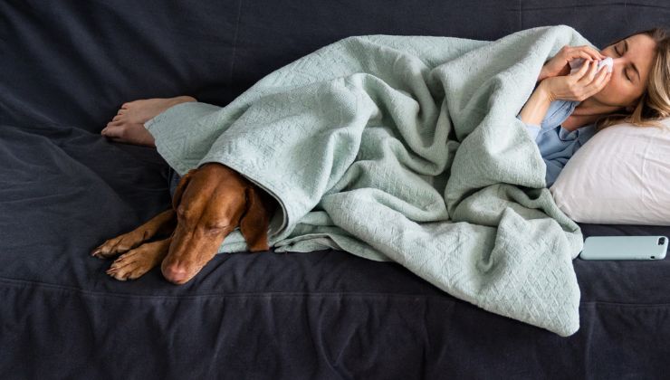 tosse cardiaca del cane
