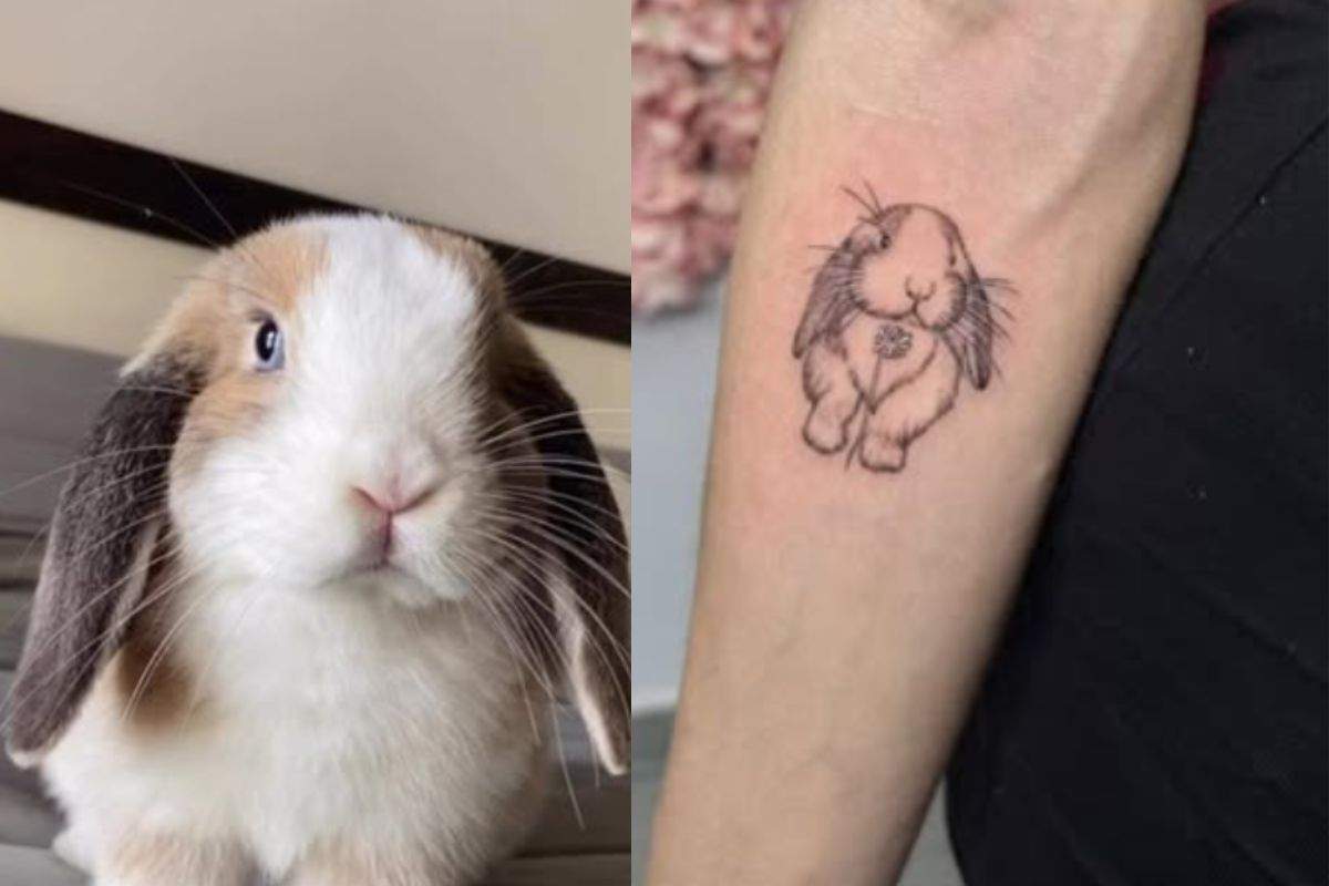coniglio e tatuaggio