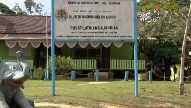 Località in Indonesia dedicata alla cura degli animali