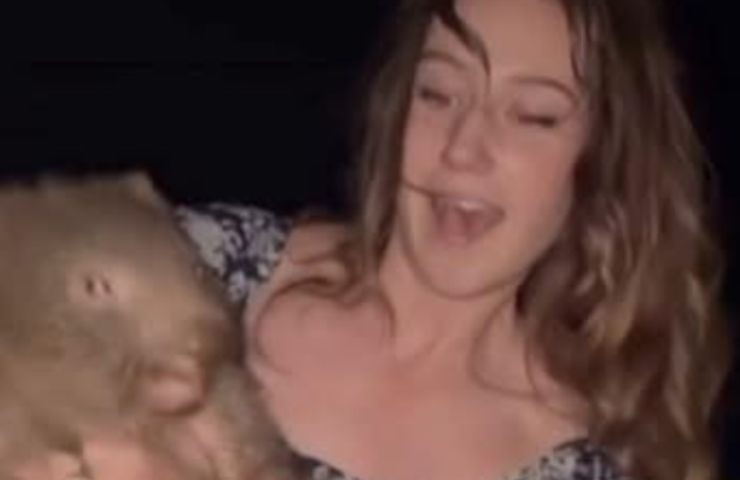Influencer prende in braccio un wombat
