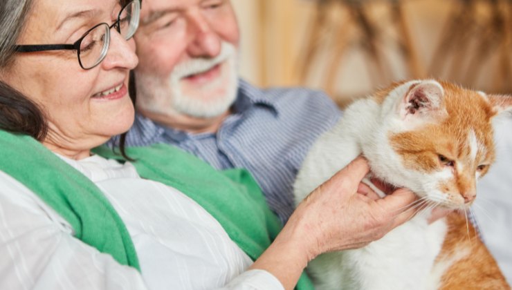 anziani e gatto 