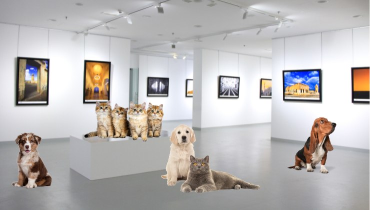 cani e gatti nella galleria d'arte
