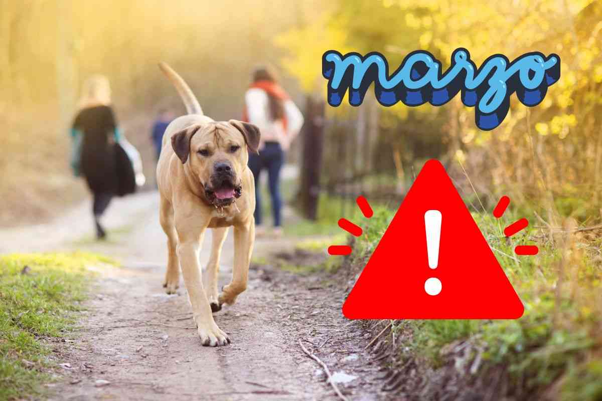 pericolo cani marzo