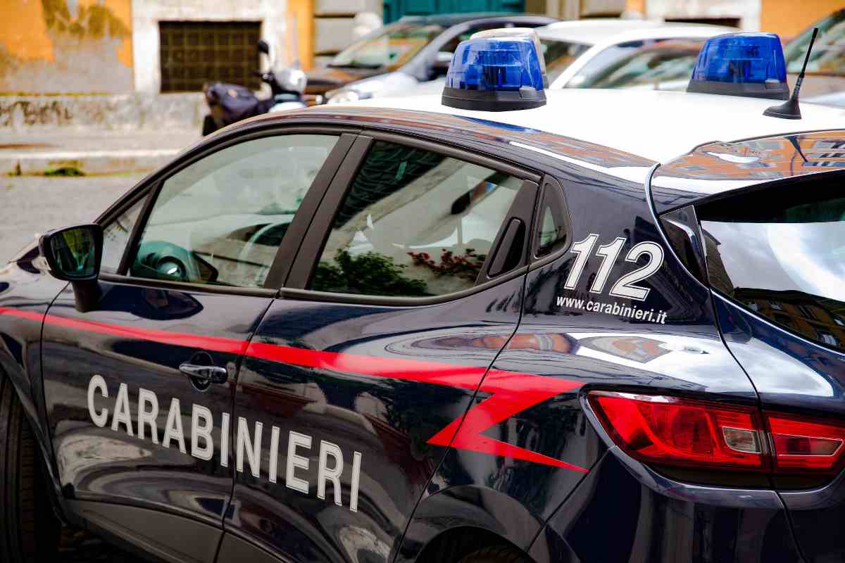 volante dei carabinieri salva 5 cani