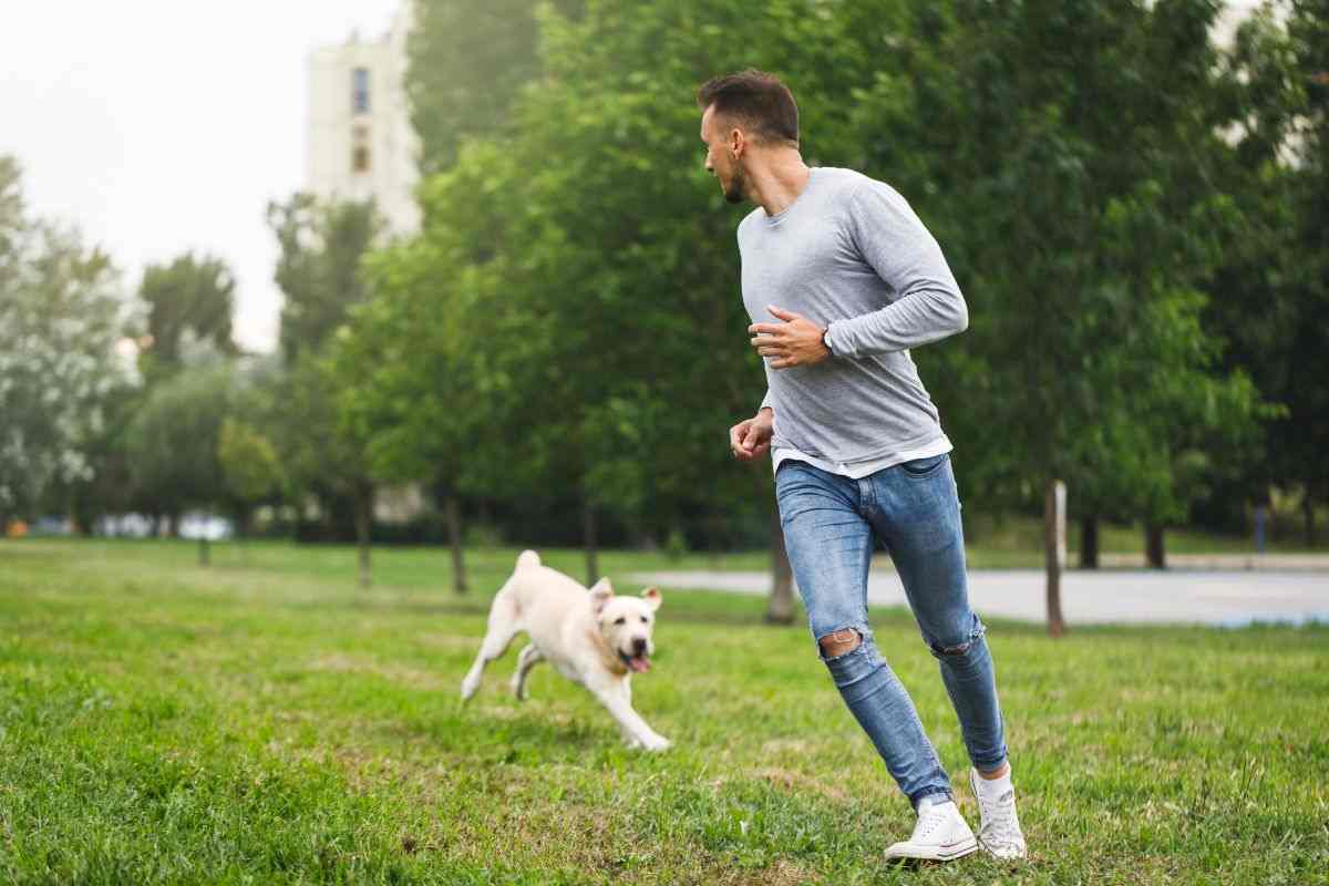 Cane e padrone corrono e giocano al parco
