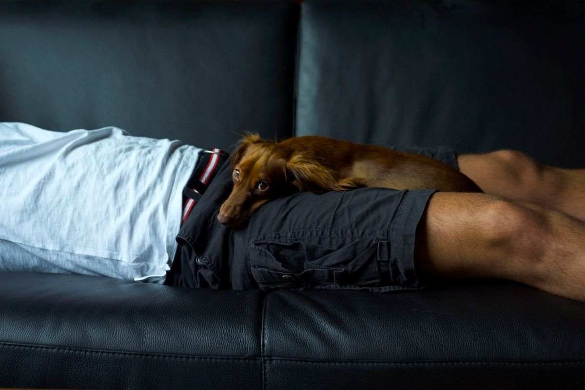 Cane e padrone riposano sul divano