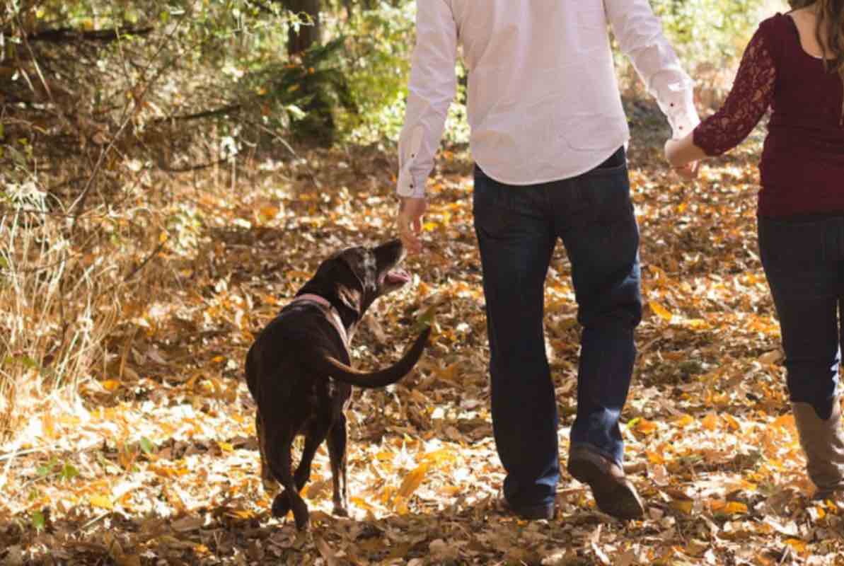 Uomo e donna passeggiano nel bosco con il loro cane al guinzaglio