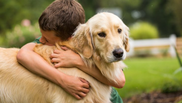 bambino abbraccia il cane