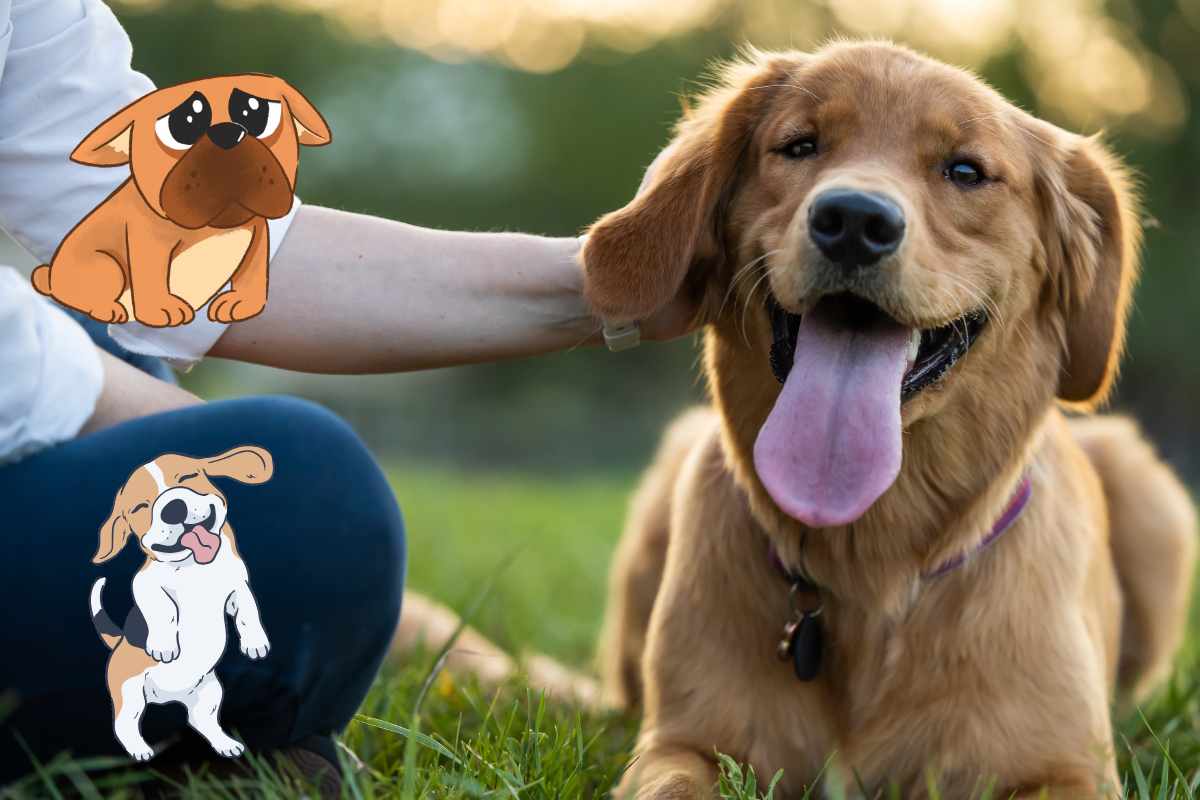 cane ottimista o pessimista
