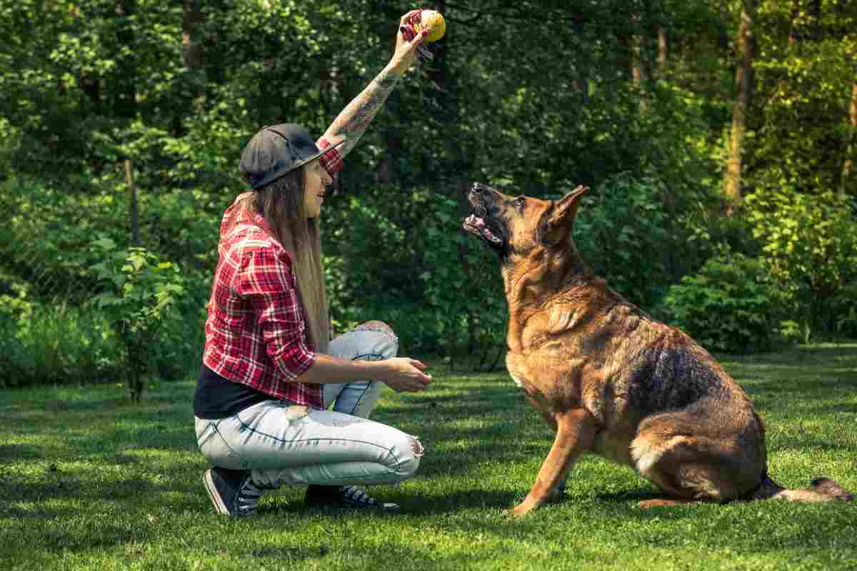 ragazza che addestra il suo cane