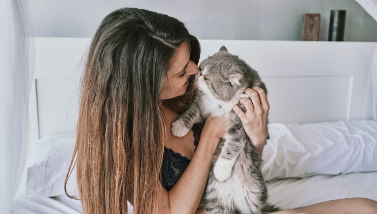 donna coccola un gatto grigio