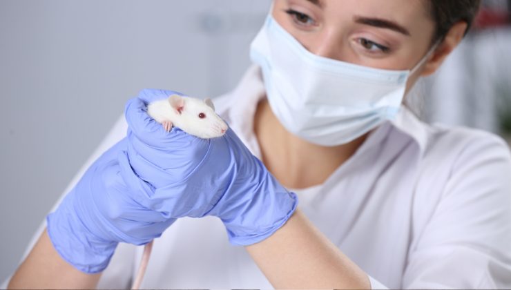la sperimentazione sugli animali