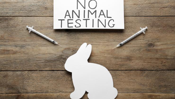 no animal testing