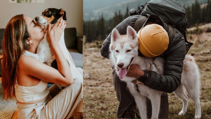 persona abbraccia il cane
