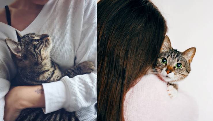 persona triste abbraccia gatto
