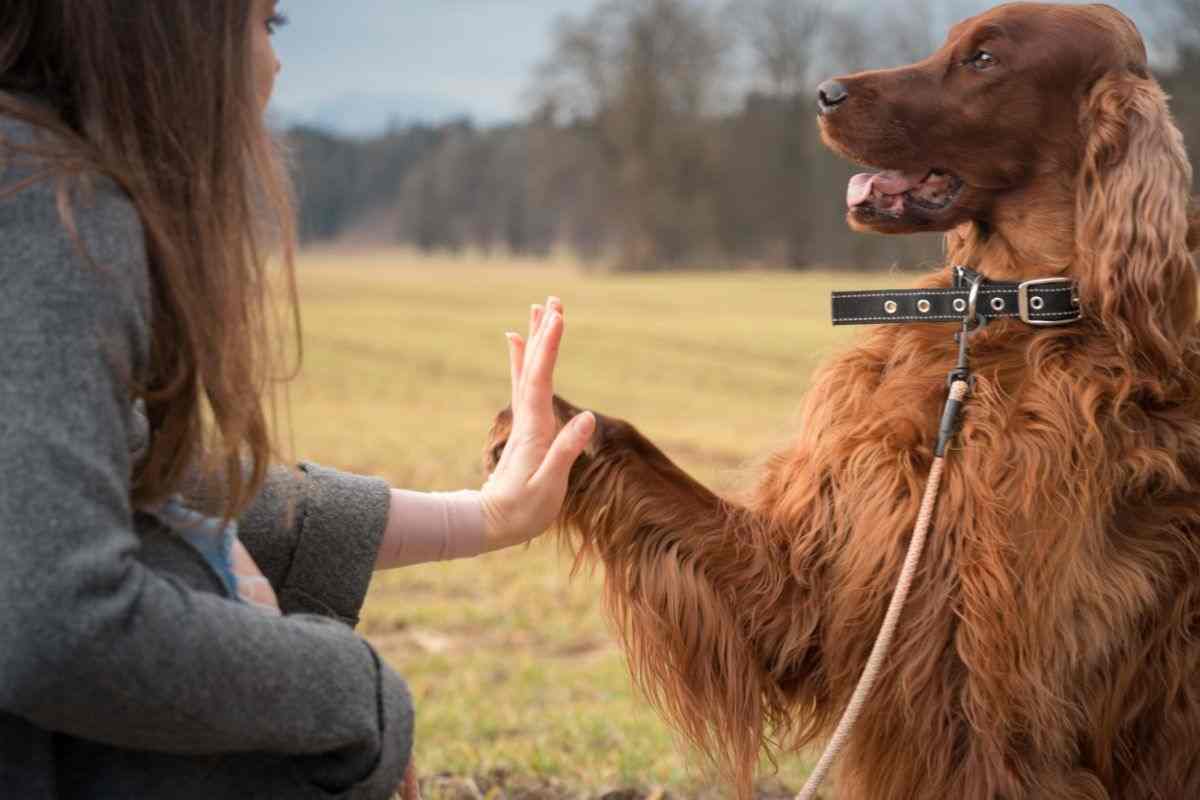 ragazza con il suo cane
