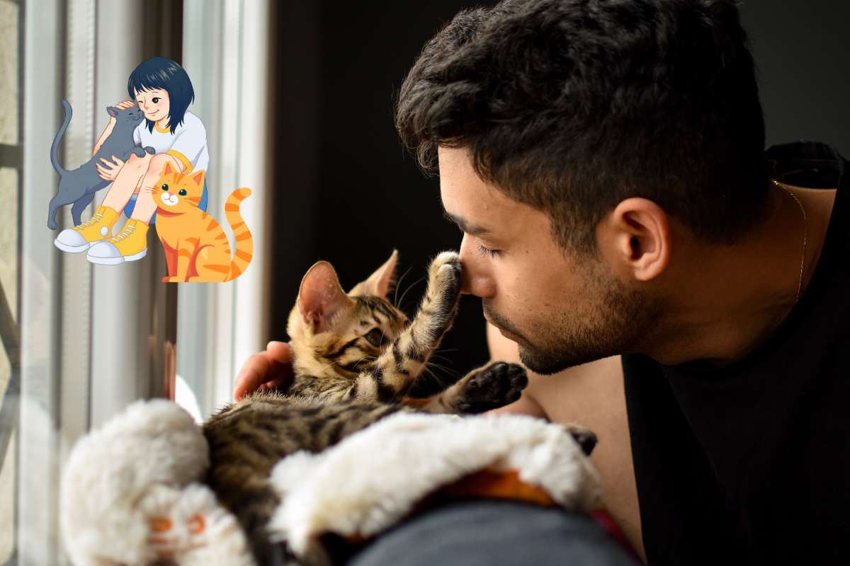 segnali che indicano che il gatto vuole le coccole