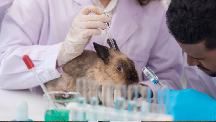 sperimentazione sugli animali