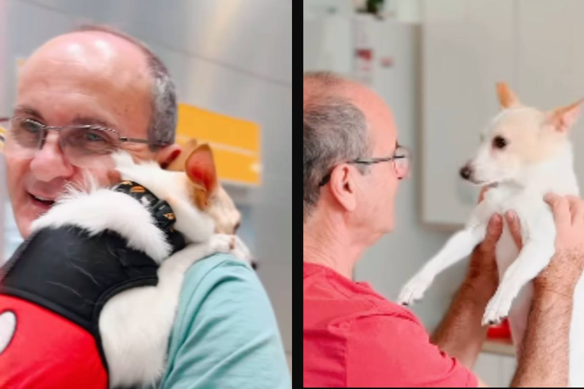 uomo e cane