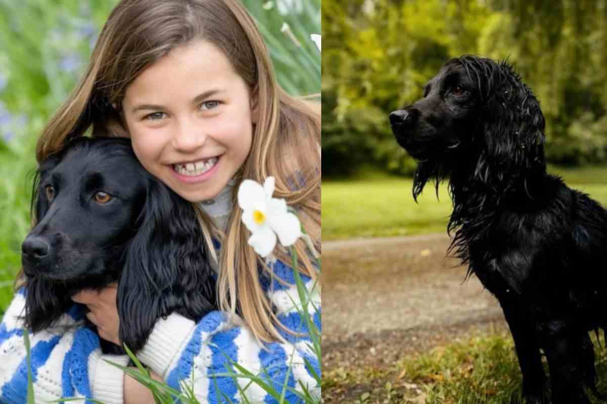 Cane della famiglia reale con Charlotte