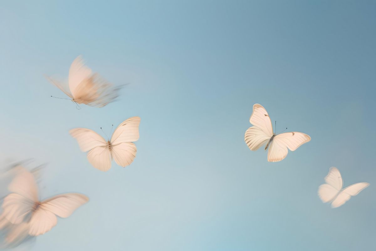 Farfalle rosa