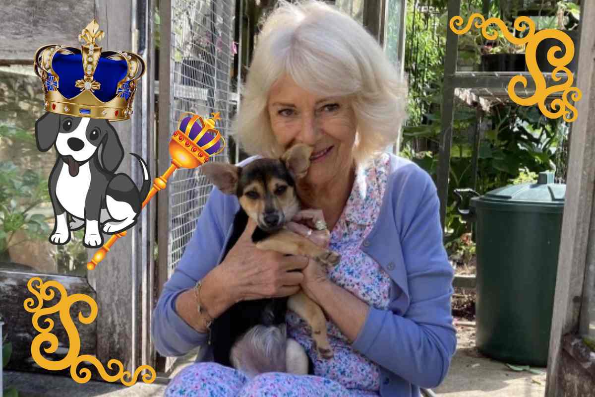 La regina Camilla insieme alla cagnolina Moley