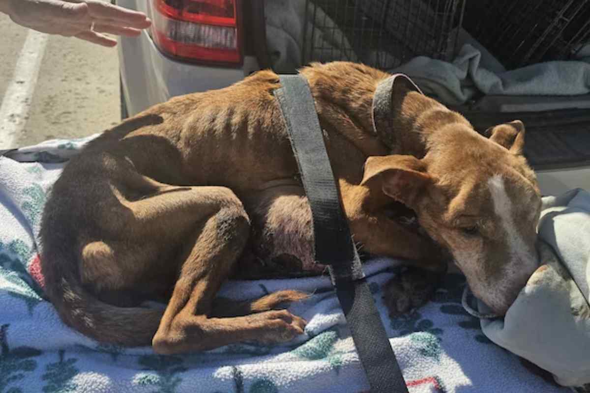 baby il giorno del suo salvataggio
