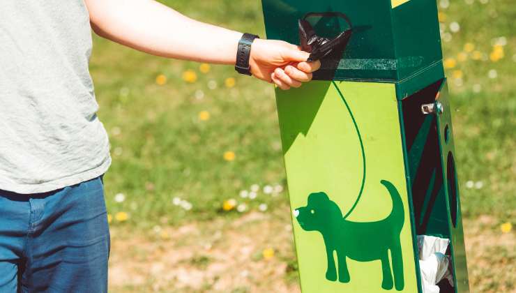 bustina per le deiezioni del cane