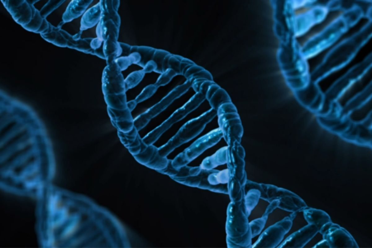 dna