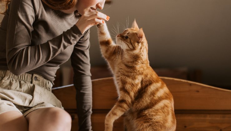 donna con il suo gattino domestico